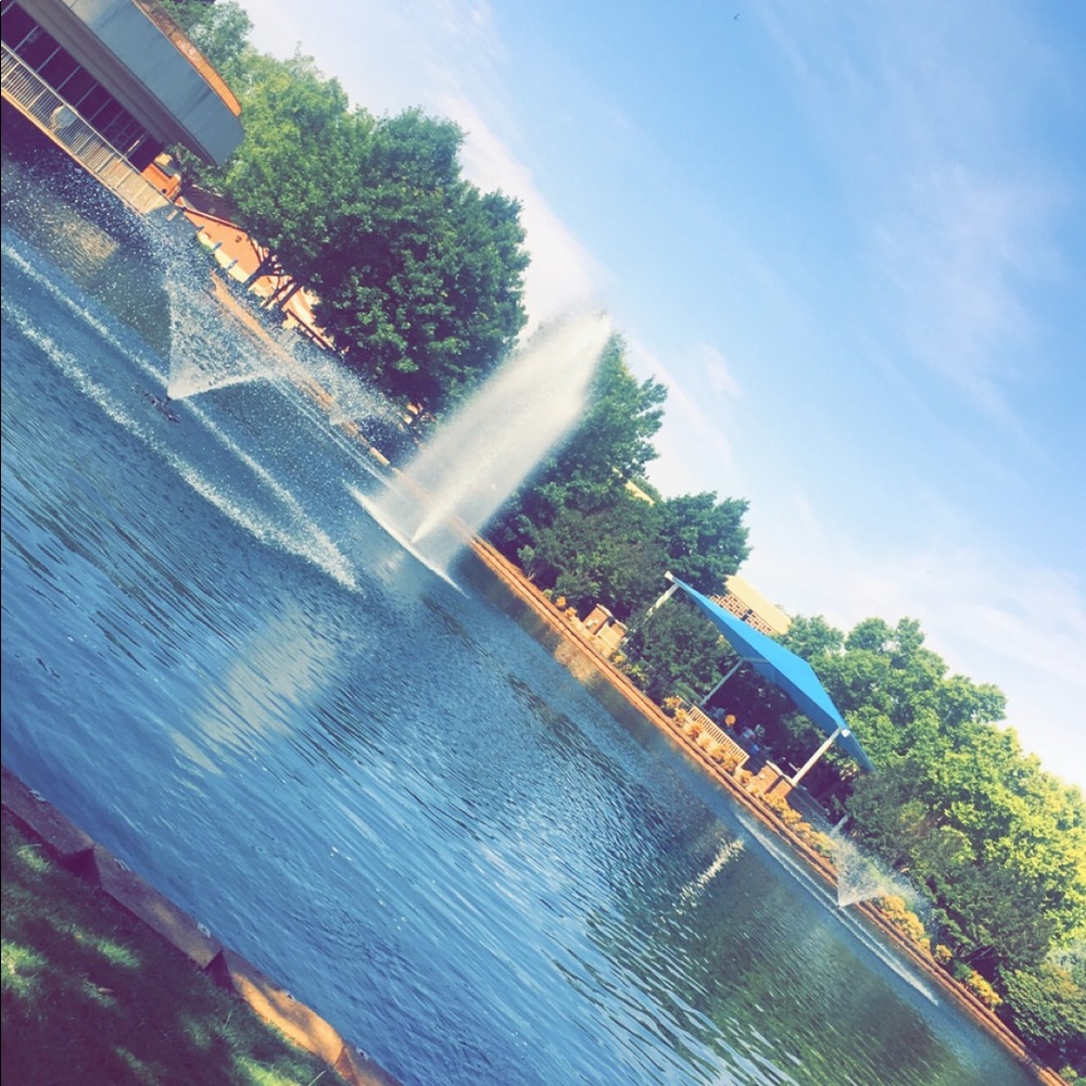 Meet your Posher, Sarah